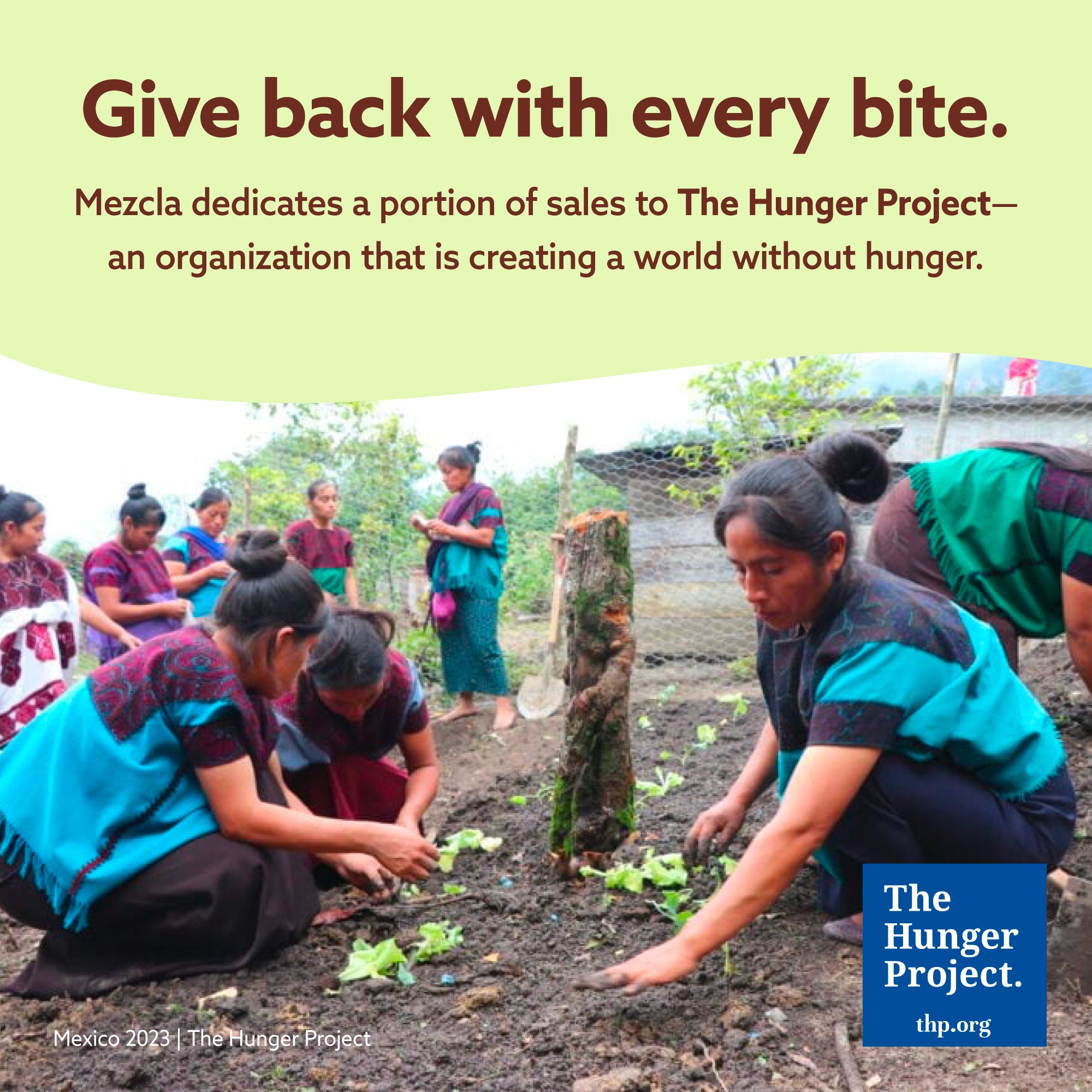Women in colorful traditional clothing tend to a community garden with green plants growing in rows of dark soil