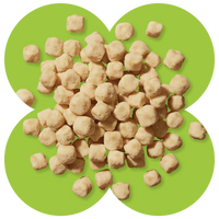 Light brown pea crisps scattered on a green four-leaf clover shaped background