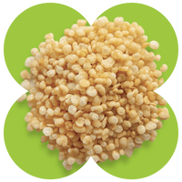 Pile of golden quinoa crisps displayed on a green four-leaf clover shaped background