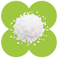 White sea salt crystals scattered on a green four-leaf clover shape against white background
