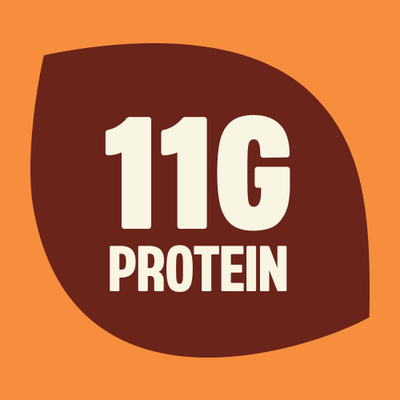 Orange background with dark brown rounded shape containing white text "11G PROTEIN"