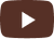 Social Icon 3