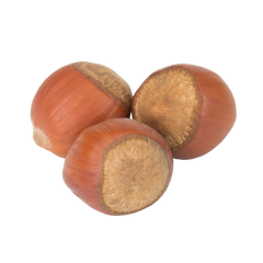 Hazelnuts